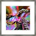 Plants And Flowers In Hawaii #4 Framed Print
