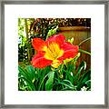 Pretty Flower #2 Framed Print