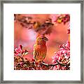 Pretty In Pink #3 Framed Print