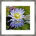Purple Water Lily Pond Flower Wall Decor Framed Print