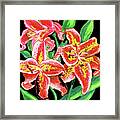 Red Lilies #4 Framed Print