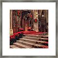 Reverence #2 Framed Print