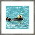 Sea Otter Framed Print