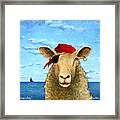 Sheep Ahoy #3 Framed Print