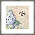 Summer Memories - Blue Hydrangea N Butterflies #2 Framed Print