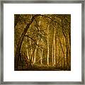 The Old Hunting Grounds #2 Framed Print