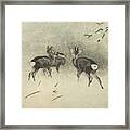 Three Deer In A Snowstorm #2 Framed Print