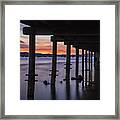 Timber Cove #2 Framed Print