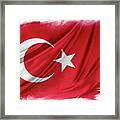 Turkish Flag #2 Framed Print