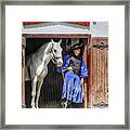 Horses Hungary #20 Framed Print