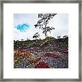 20150516144211fla24528-master Framed Print