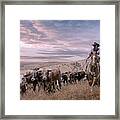 2016 Reno Cattle Drive Framed Print