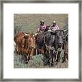 2018 Reno Cattle Drive 10 Framed Print