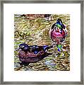 #234 Wood Ducks #234 Framed Print