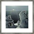 2m4415 A Ice Covered Trees Over Puget Sound Framed Print