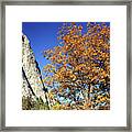 2m6856 North Dome In Autumn Framed Print