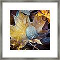Autumn Leaves Frozen Artmif.lv #3 Framed Print