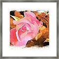 Blooming Rose #3 Framed Print