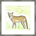Coyote #3 Framed Print