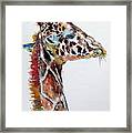 Giraffe #3 Framed Print