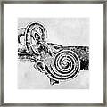 Human Ear X #3 Framed Print