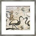 Nile Flora And Fauna, Roman Mosaic #3 Framed Print