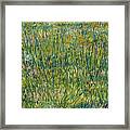 Patch Of Grass #6 Framed Print