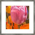Perfectly Pink #4 Framed Print