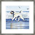 Poodle At The Beach  #2 Framed Print