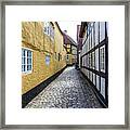 Ribe Denmark #3 Framed Print