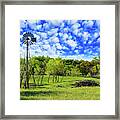 Texas Hill Country #3 Framed Print