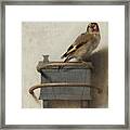 The Goldfinch Framed Print