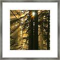 X4 #3 Framed Print