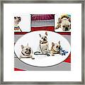 3010.069 Therapet #3010069 Framed Print