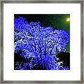 六義園 #32 Framed Print