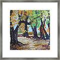 #35 Cottonwood Colors #35 Framed Print