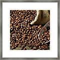 Espresso And Coffee Grain #42 Framed Print