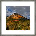 Autumn Splender #4 Framed Print