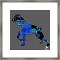 Boxer Collection #4 Framed Print