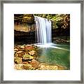 Dog Slaughter Falls #4 Framed Print