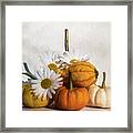 Harvest Time #4 Framed Print