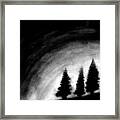 4 Pines Framed Print