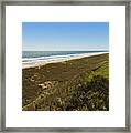 Ponte Vedra Beach #4 Framed Print