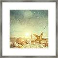 Starfish And Seashells  At The Beach #4 Framed Print