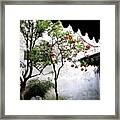 Suzhou Gardens #1 Framed Print