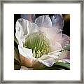 The Beauty Of White  #4 Framed Print