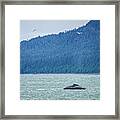 Whale Watching On Favorite Channel Alaska #4 Framed Print