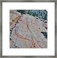 Zion National Park #42 Framed Print