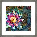 Jeweled Water Lilies #48 Framed Print