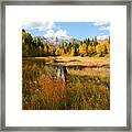 Autumn Splender Framed Print